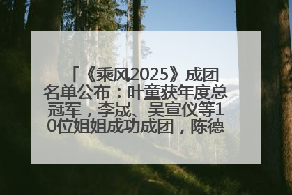 《乘风2025》成团名单公布：叶童获年度总冠军，李晟、吴宣仪等10位姐姐成功成团，陈德容获年度高光人物