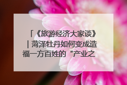 《旅游经济大家谈》｜菏泽牡丹如何变成造福一方百姓的“产业之花”“富民之花”？