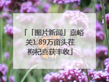 「图片新闻」嘉峪关1.89万亩头茬枸杞喜获丰收