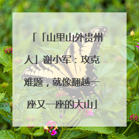 「山里山外贵州人」谢小军：攻克难题，就像翻越一座又一座的大山