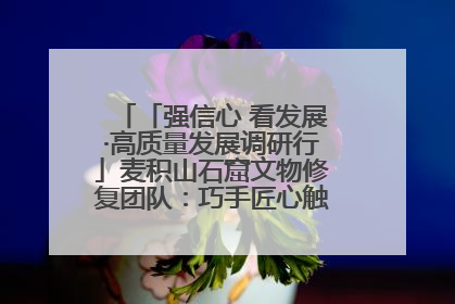 「强信心 看发展·高质量发展调研行」麦积山石窟文物修复团队：巧手匠心触摸“光阴的故事”