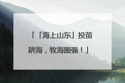 「海上山东」投苗耕海，牧海图强！