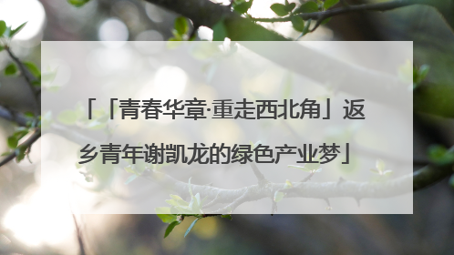 「青春华章·重走西北角」返乡青年谢凯龙的绿色产业梦