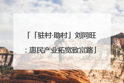 「驻村·助村」刘同旺：惠民产业拓宽致富路