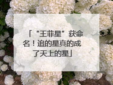 “王菲星”获命名！追的星真的成了天上的星