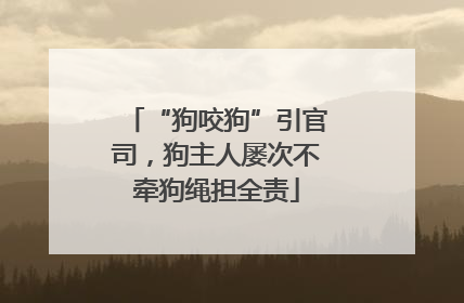 “狗咬狗”引官司，狗主人屡次不牵狗绳担全责