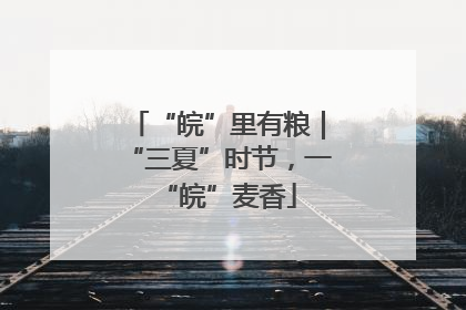 “皖”里有粮｜“三夏”时节，一“皖”麦香