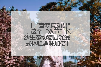 “童梦粽动员”，这个“双节”长沙生态动物园沉浸式体验趣味加倍