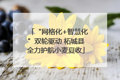 “网格化+智慧化”双轮驱动 柘城县全力护航小麦夏收