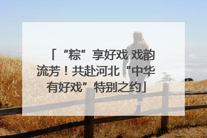 “粽”享好戏 戏韵流芳！共赴河北“中华有好戏”特别之约
