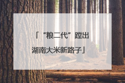 “粮二代”蹚出湖南大米新路子