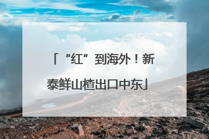 “红”到海外！新泰鲜山楂出口中东