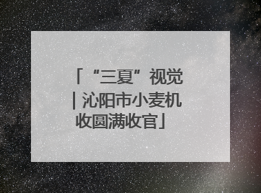 “三夏”视觉｜沁阳市小麦机收圆满收官