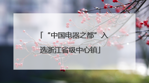 “中国电器之都”入选浙江省级中心镇
