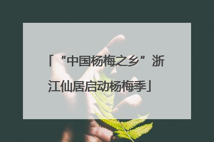 “中国杨梅之乡”浙江仙居启动杨梅季