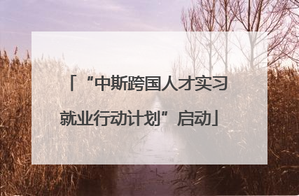 “中斯跨国人才实习就业行动计划”启动