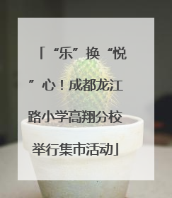 “乐”换“悦”心！成都龙江路小学高翔分校举行集市活动