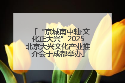 “京城南中轴·文化正大兴”2025北京大兴文化产业推介会于成都举办