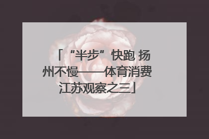 “半步”快跑 扬州不慢——体育消费江苏观察之三