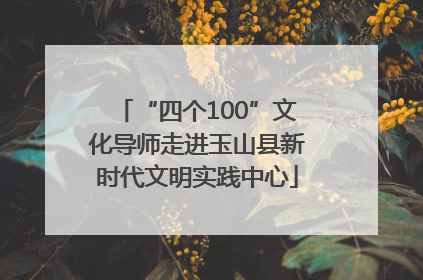 “四个100”文化导师走进玉山县新时代文明实践中心