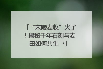 “宋陵麦收”火了！揭秘千年石刻与麦田如何共生→
