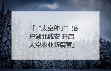 “太空种子”落户湖北咸安 开启太空农业新篇章
