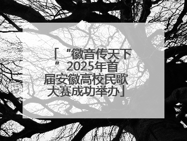 “徽音传天下”2025年首届安徽高校民歌大赛成功举办
