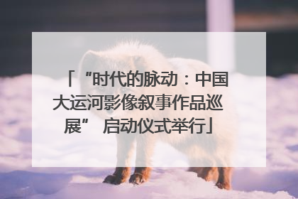 “时代的脉动：中国大运河影像叙事作品巡展” 启动仪式举行