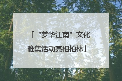 “梦华江南”文化雅集活动亮相柏林
