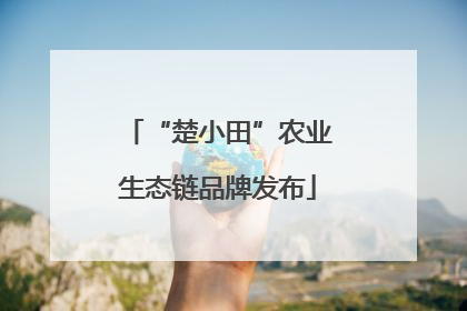 “楚小田”农业生态链品牌发布