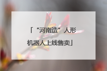 “河南造”人形机器人上线售卖