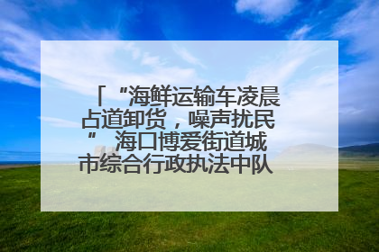 “海鲜运输车凌晨占道卸货，噪声扰民” 海口博爱街道城市综合行政执法中队：将联合交警加强长堤路一带巡逻