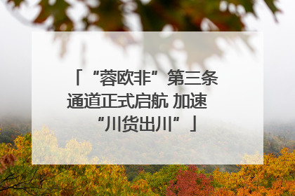 “蓉欧非”第三条通道正式启航 加速“川货出川”