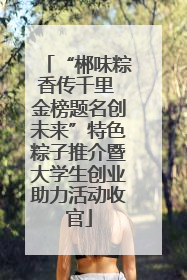“郴味粽香传千里 金榜题名创未来”特色粽子推介暨大学生创业助力活动收官