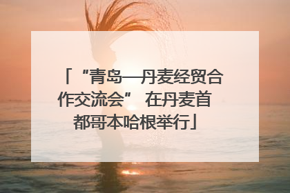 “青岛—丹麦经贸合作交流会” 在丹麦首都哥本哈根举行