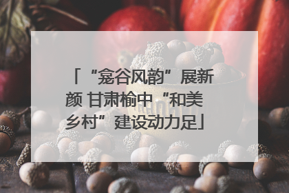 “龛谷风韵”展新颜 甘肃榆中“和美乡村”建设动力足