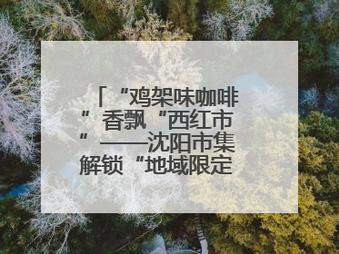 “鸡架味咖啡”香飘“西红市”——沈阳市集解锁“地域限定”消费新场景