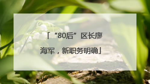 “80后”区长廖海军，新职务明确