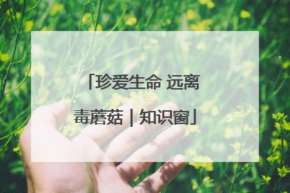 珍爱生命 远离毒蘑菇｜知识窗