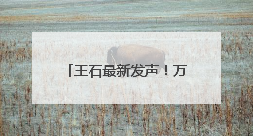 王石最新发声！万科晚间突发公告：“售股”回血！