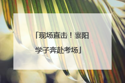 现场直击！襄阳学子奔赴考场