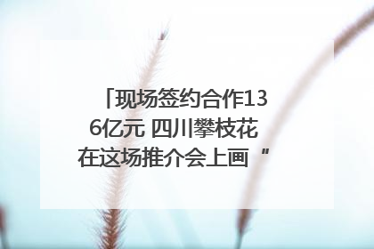现场签约合作136亿元 四川攀枝花在这场推介会上画“图谱”列“清单”