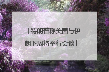 特朗普称美国与伊朗下周将举行会谈
