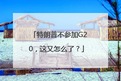 特朗普不参加G20，这又怎么了？