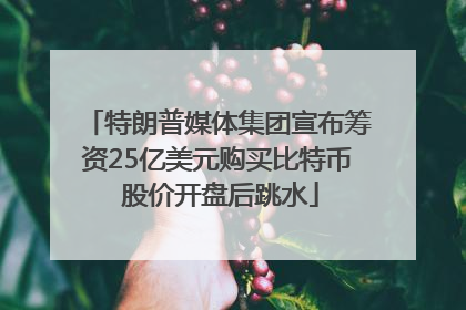 特朗普媒体集团宣布筹资25亿美元购买比特币 股价开盘后跳水