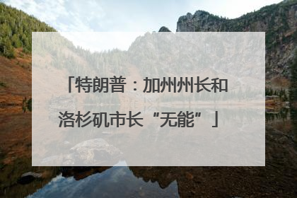 特朗普：加州州长和洛杉矶市长“无能”