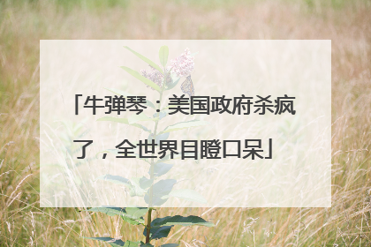 牛弹琴：美国政府杀疯了，全世界目瞪口呆