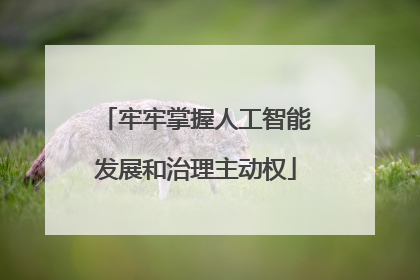 牢牢掌握人工智能发展和治理主动权
