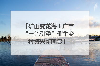 矿山变花海！广丰“三色引擎”催生乡村振兴新图景