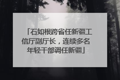 石如根跨省任新疆工信厅副厅长，连续多名年轻干部调任新疆